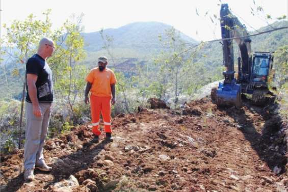 Coup de pousses contre l'érosion