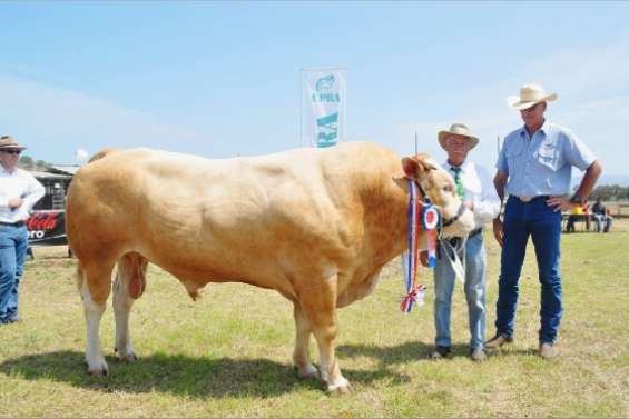 Le jour des superchampions