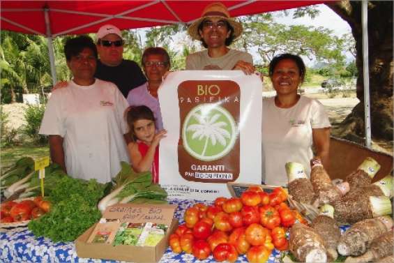 Un festival élémentaire