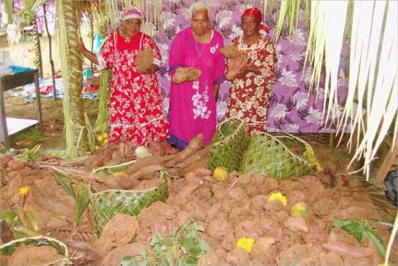 La patate à plein régime