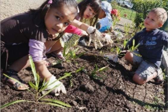 Les maternelles bientôt à l'ombre