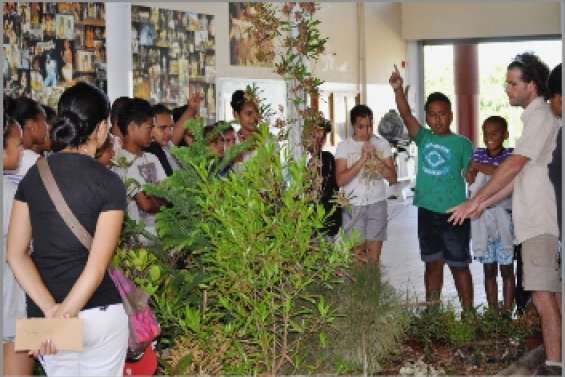 Le maquis minier en quelques mots