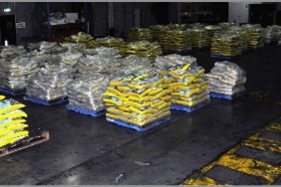 Cachés dans des sacs de riz