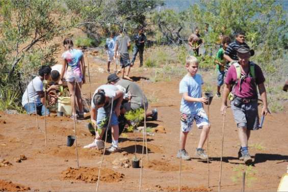 Une plantation intelligente