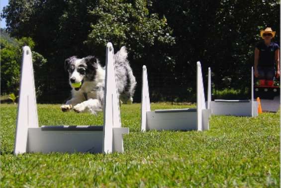 Le relais est instauré