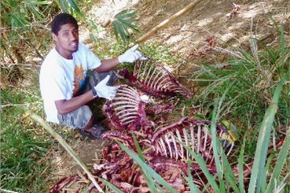 La chasse aux déchets