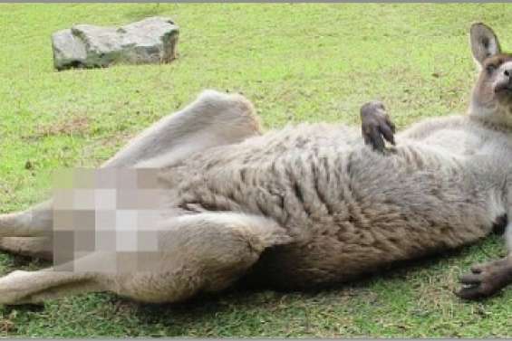 « Censuré pour Facebook »