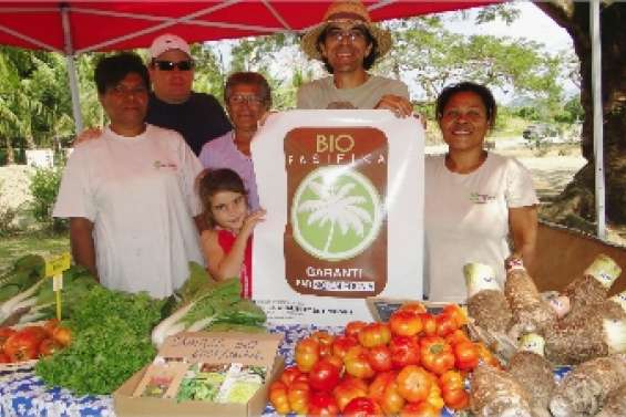 Zoom sur Plein champ