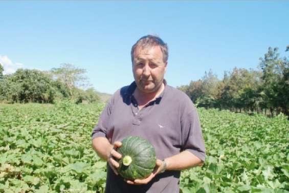 Un Kiwi roi de la squash
