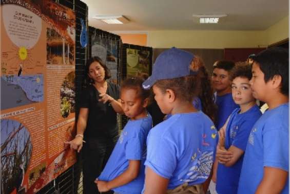 Les scolaires plongent dans le bain