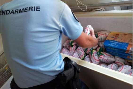 Les gendarmes du froid