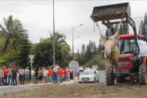 Les éleveurs (toujours) en colère