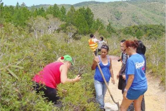 Cinq ans en plein air