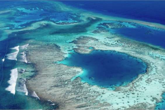 Les récifs en crédit