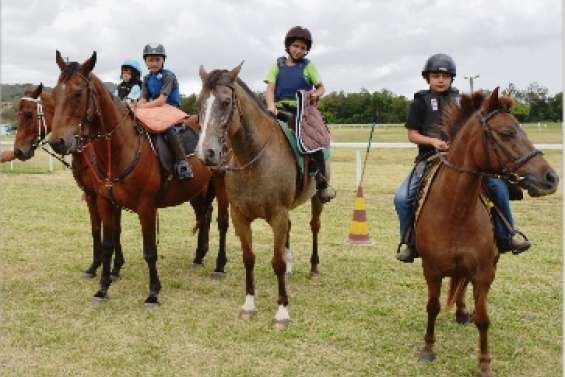 Le cheval se prend au jeu