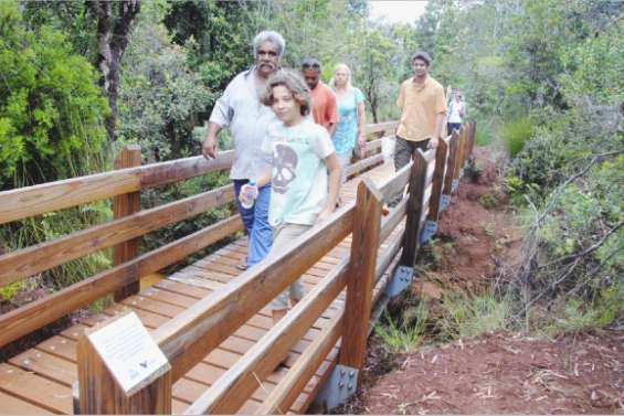 Défrichage en règle