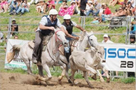 Le bœuf était aussi sportif