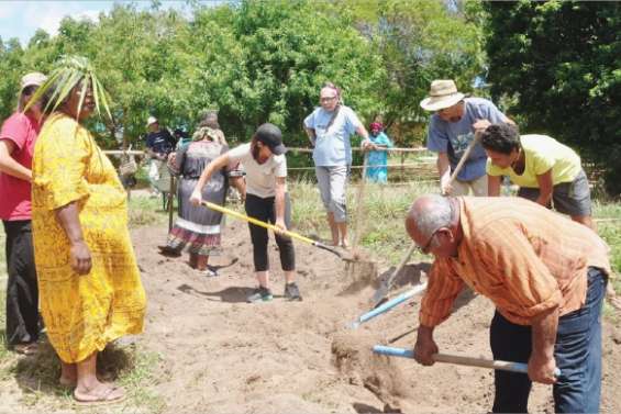 Le bio en sandwiches