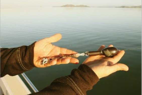 Avez-vous vu cette balise ?