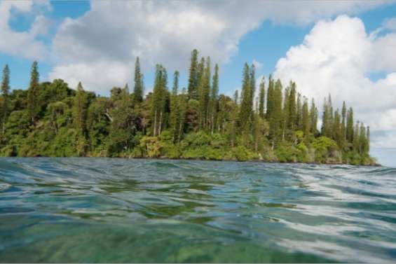 Des baies fragilisées