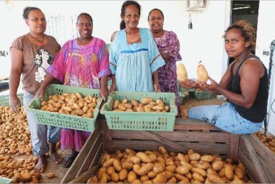 Les patates sont prêtes