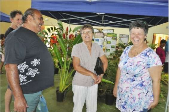 Les belles plantes de Népoui