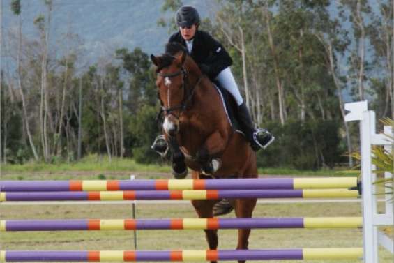 Vérons puissance 4 !