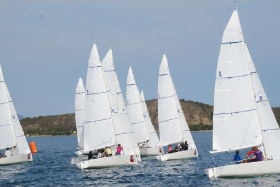 Chatonnier en stratège