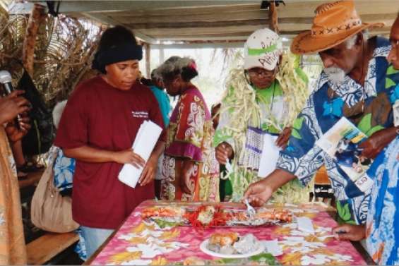 La Fête du taro pousse