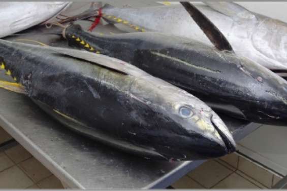 « Les négociations  progressent »