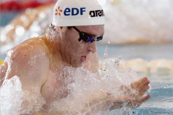 Dahlia coupé dans son élan