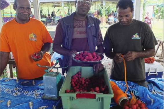 Bienvenue chez letchis !