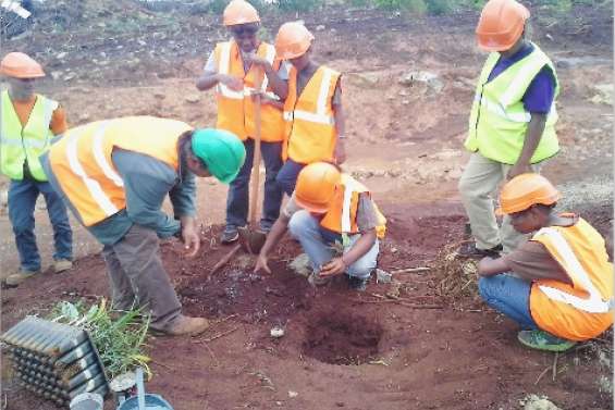 Planter pour comprendre