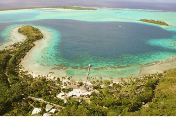 Le député aux 100 entreprises