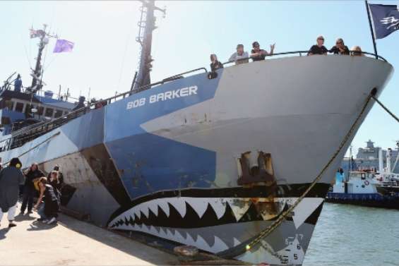 A l'assaut des baleiniers