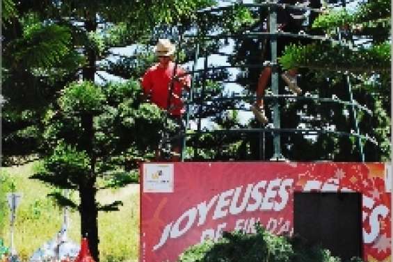 Noël se fait la belle