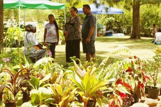 La verdure, une valeur sûre