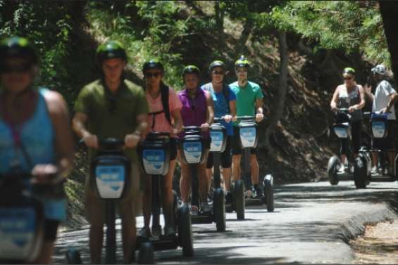 Le parc forestier en roue libre