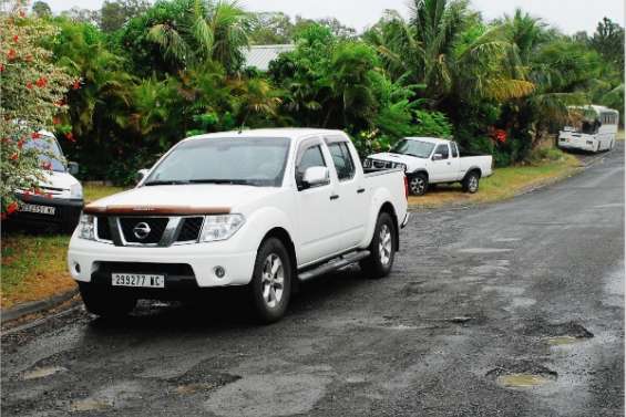 Scheffleras voit le bout des trous