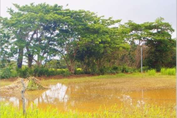 Les agriculteurs échappent au pire