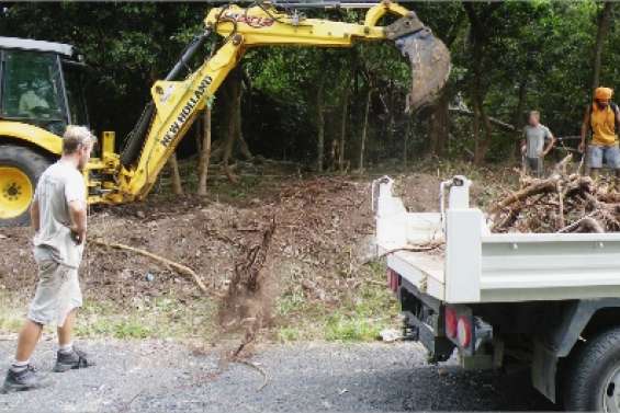 Opération défrichage