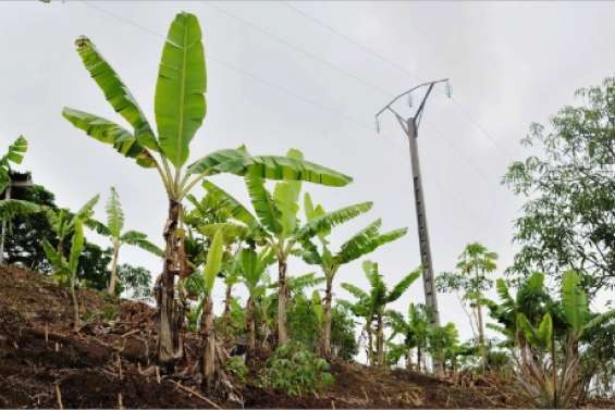 Trois jours sans électricité