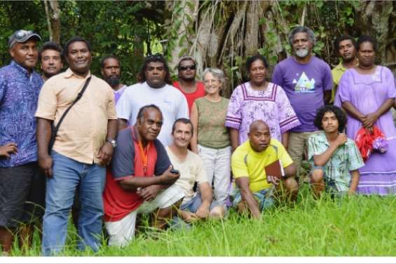 Le mal et les abeilles