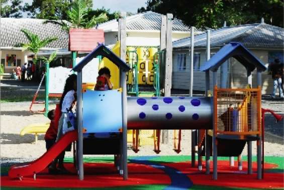 Du nouveau chez les Dauphins