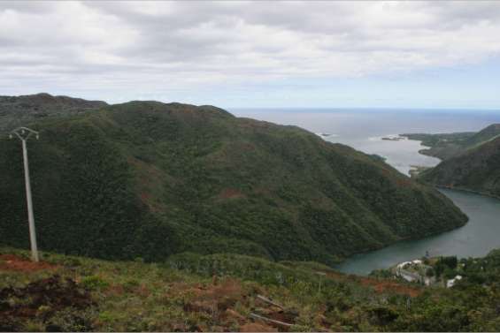 Des éoliennes sur la crête