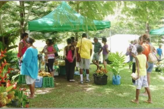Un dimanche  tropical