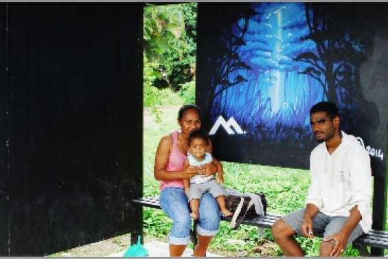 Pépites de guérite