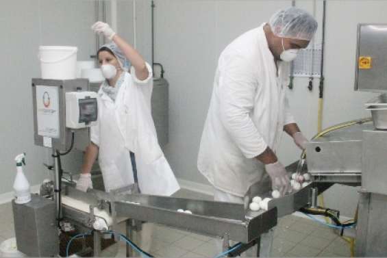 L'œuf dans tous ses états