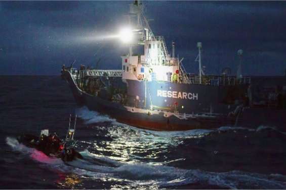 Incident avec des baleiniers