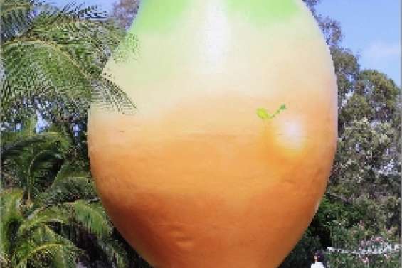 Une mangue de sept tonnes dérobée